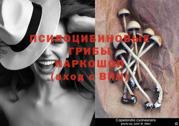 тгк Бронницы