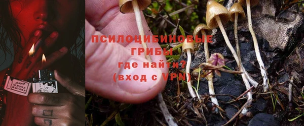 метадон Бородино