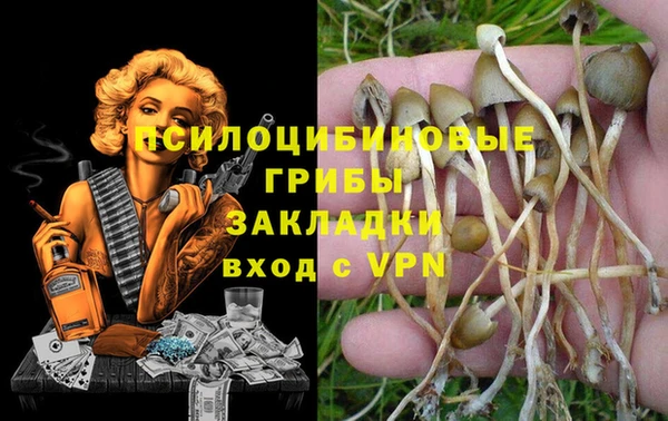 бутират Бугульма